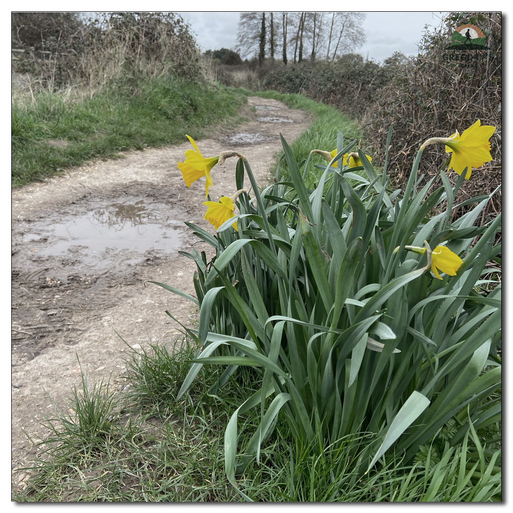 Visiting St. Peter and St. Mary, Fishbourne, 