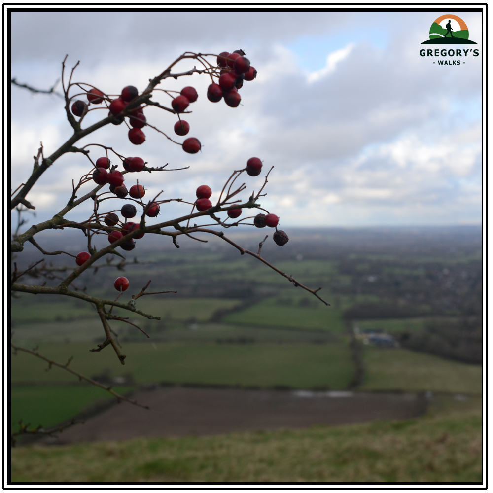 Ditchling Beacon, 