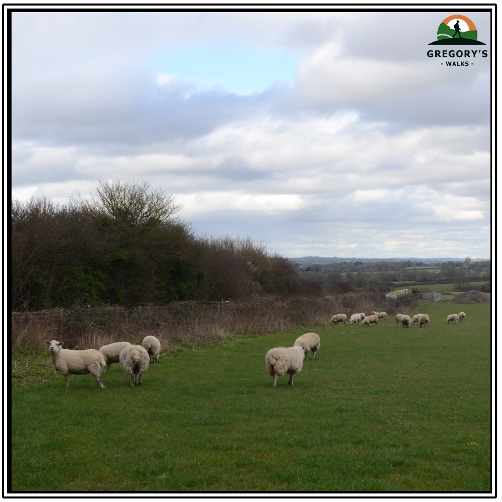 Ditchling Beacon, 