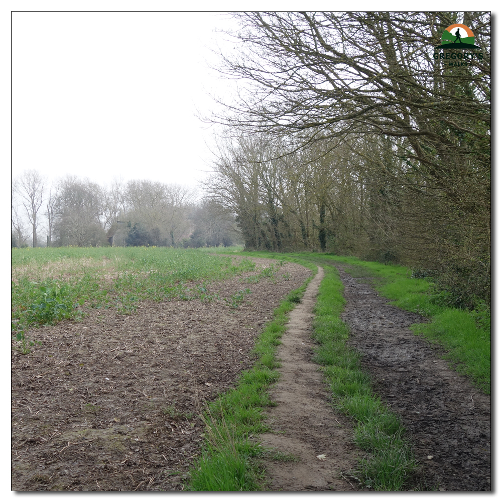 Ploughed Fields, 