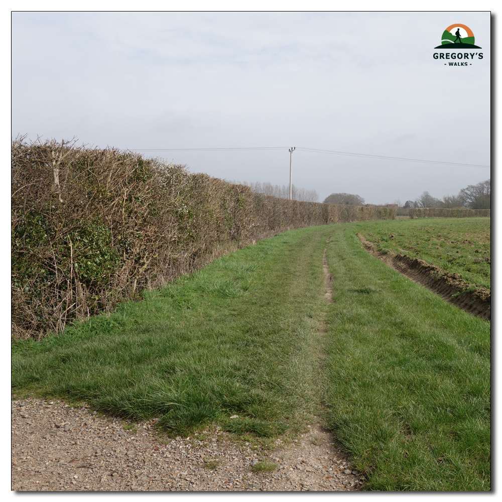 Ploughed Fields, 