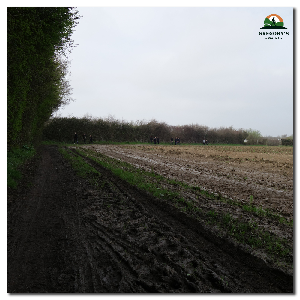 Ploughed Fields, 