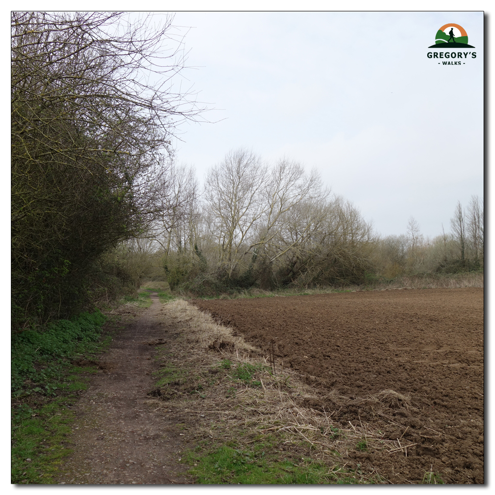 Ploughed Fields, Ploughed Fields