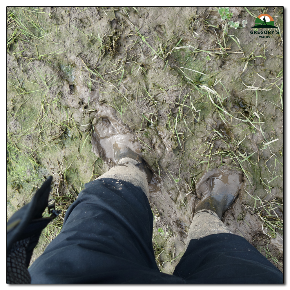 Ploughed Fields, 