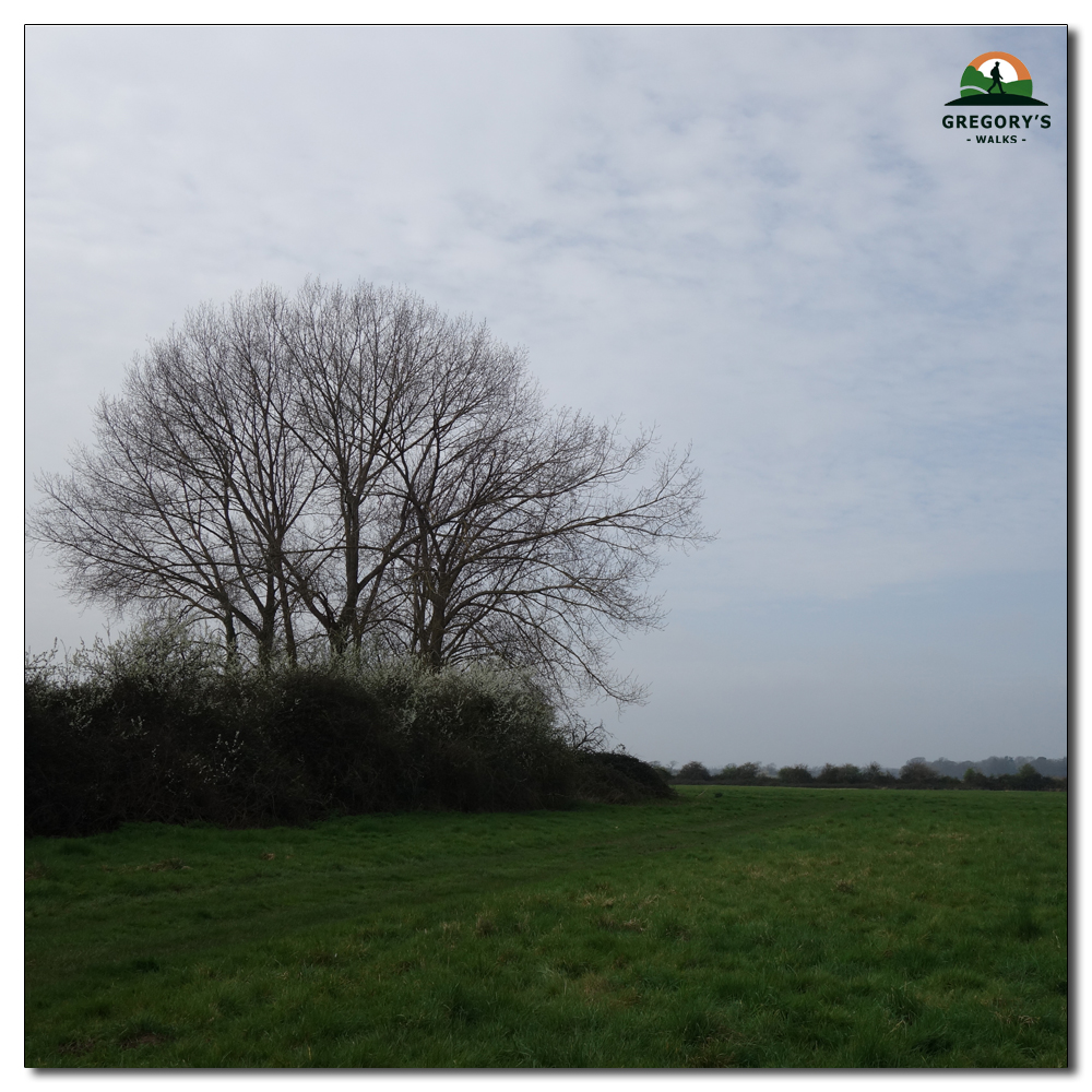 Ploughed Fields, 