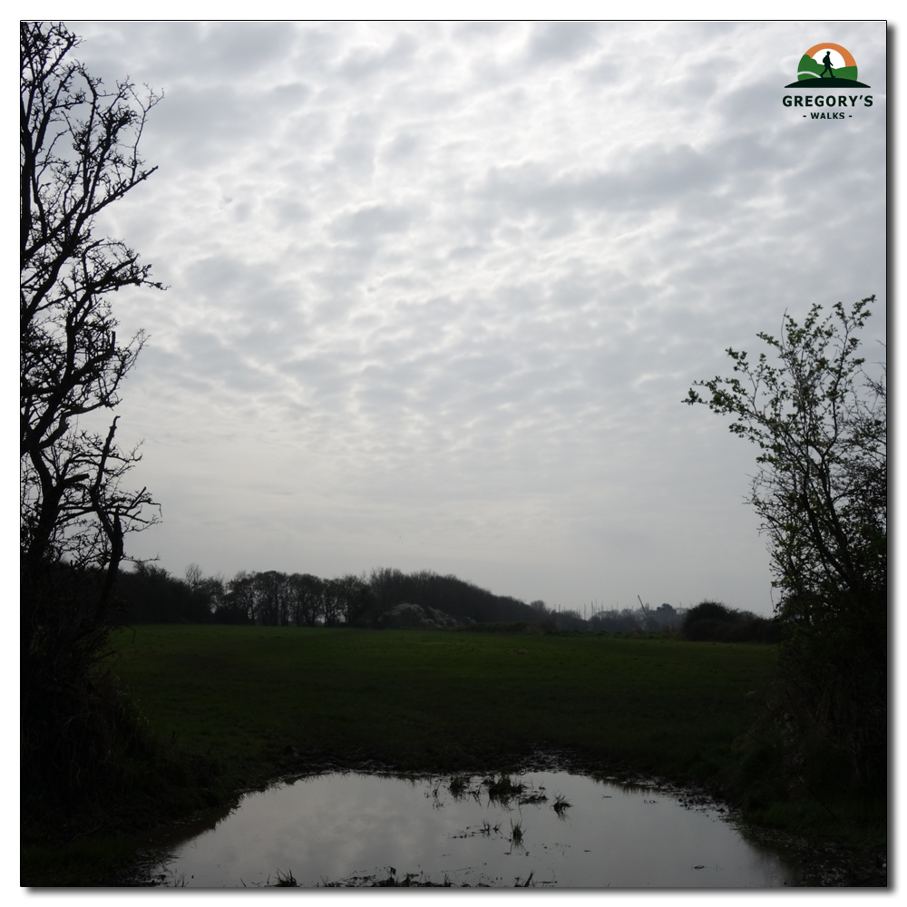 Ploughed Fields, 