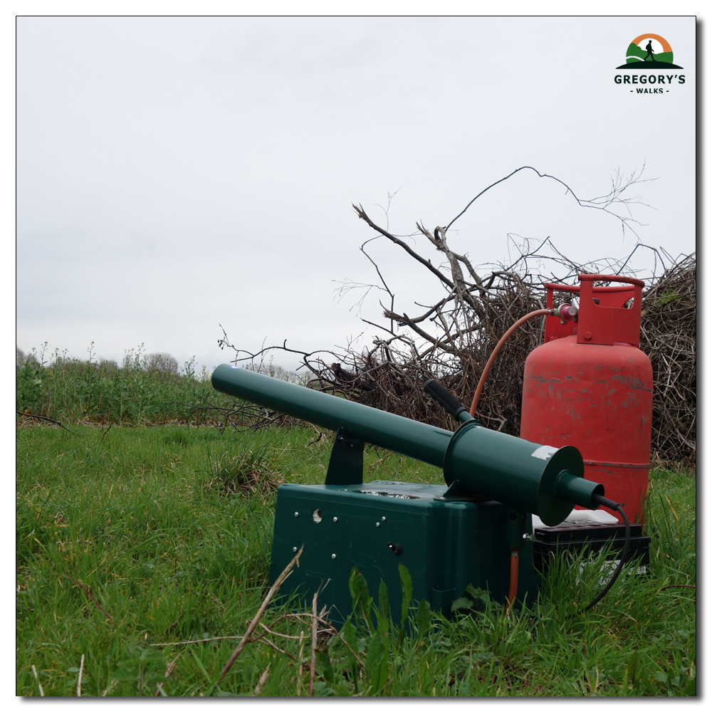 Protecting the crop, Bird scarer