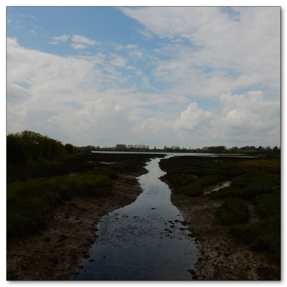 Fields Prepared, Path number 555 - Fishbourne CP