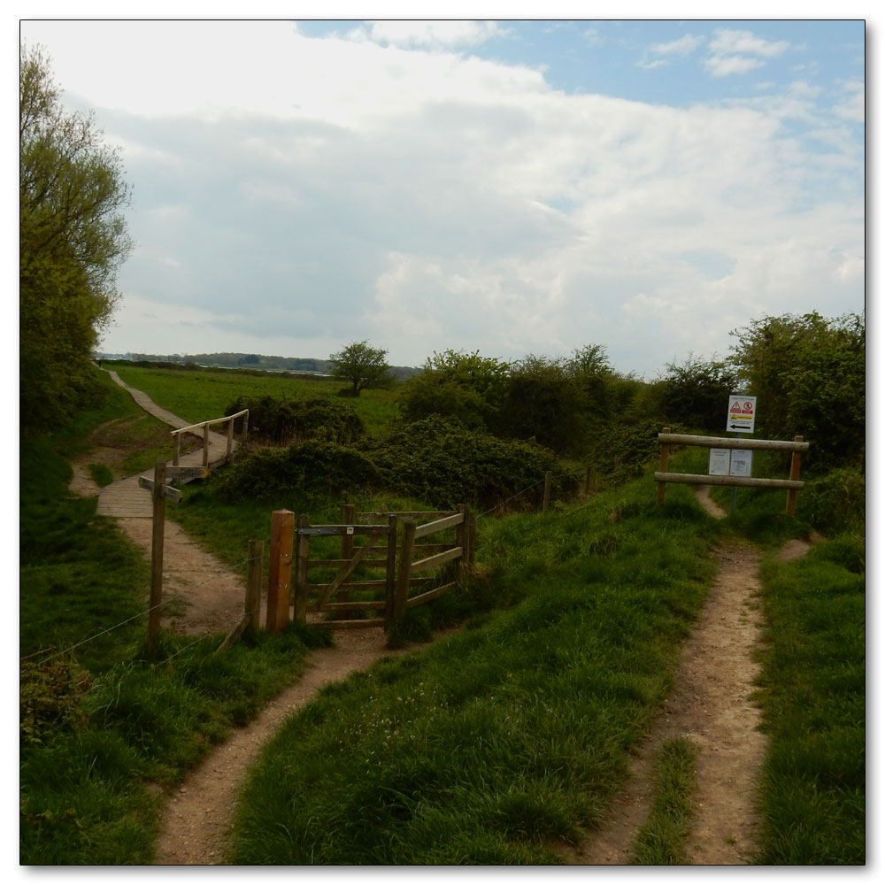 Fields Prepared, Path number 555 - Fishbourne CP