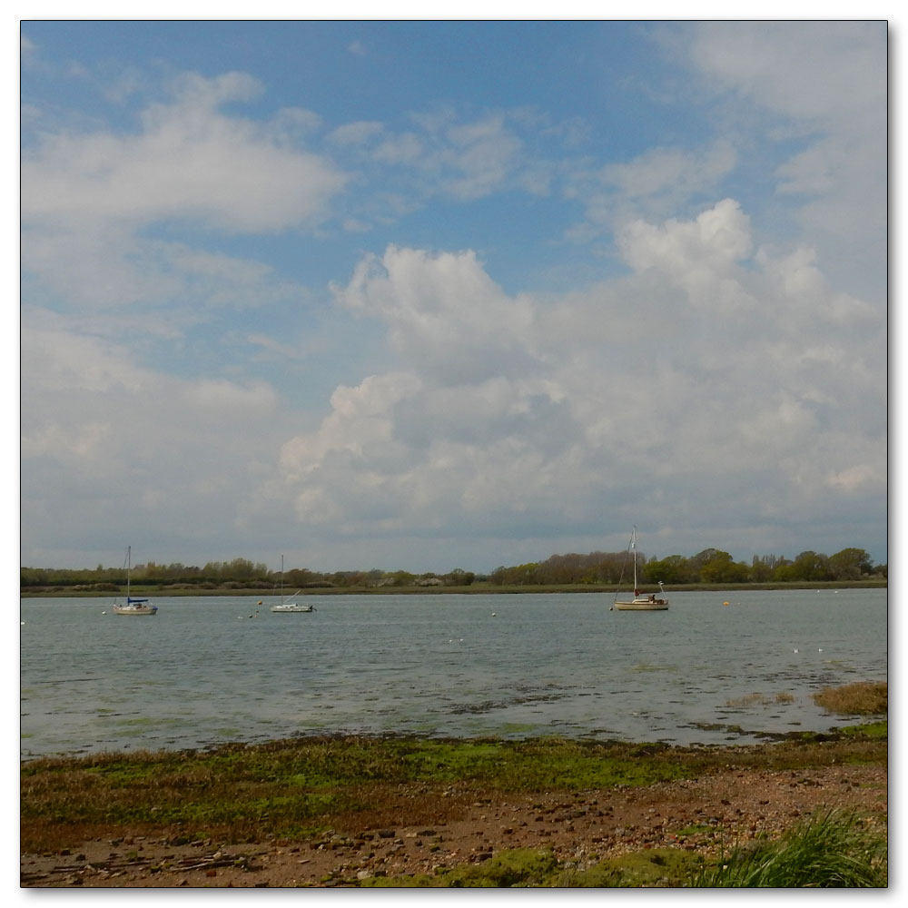 Fields Prepared, Fishbourne Channel