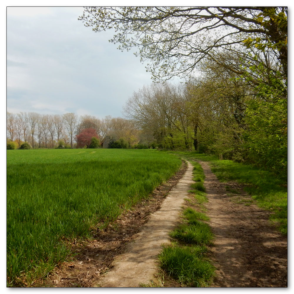 Fields Prepared, Path number 178 back to St Mary's