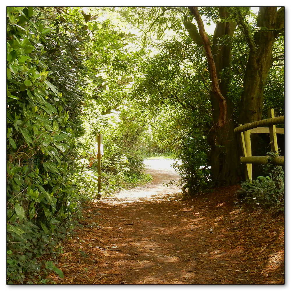 Fields Prepared, Path Number 178,  to the church carpark