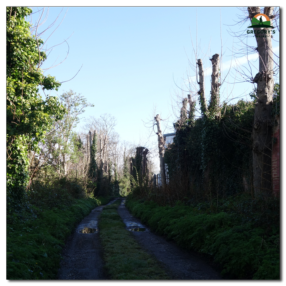 Littlehampton to Arundel, Starting my walk with blue skys.