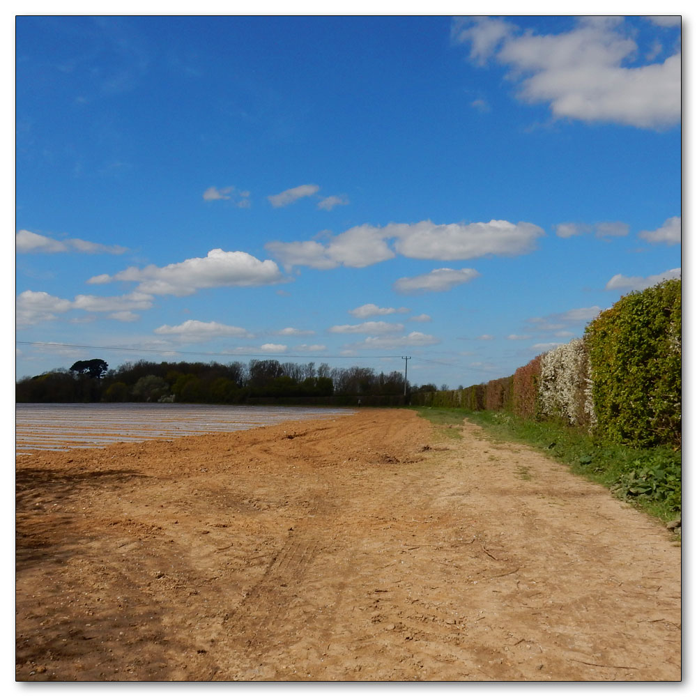 Fishbourne Channel, 