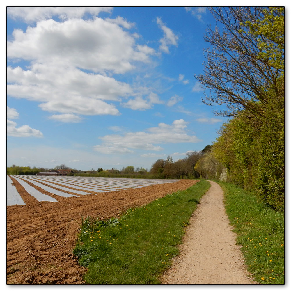 Fishbourne Channel, 