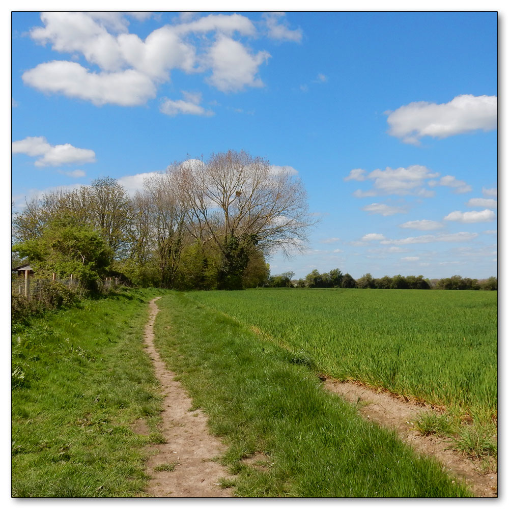 Fishbourne Channel, 