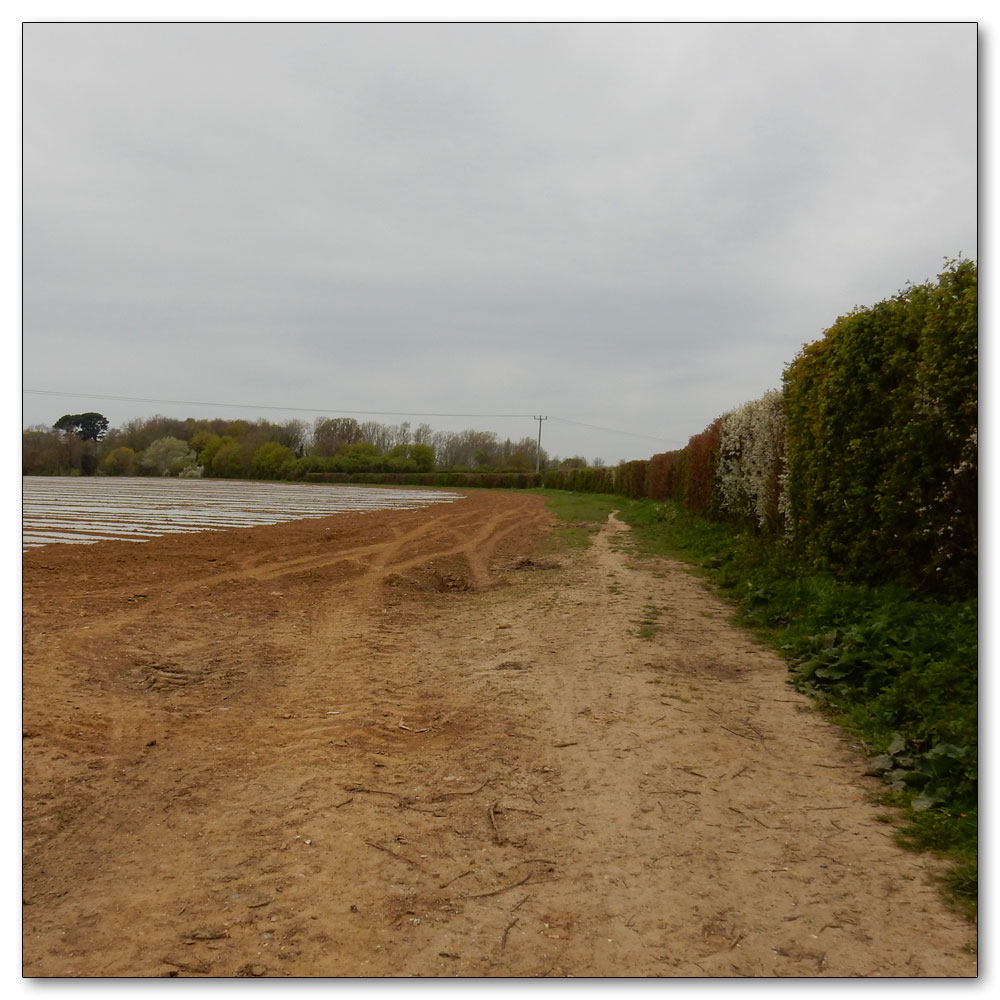 Coastal Change - Footpath 3059, 