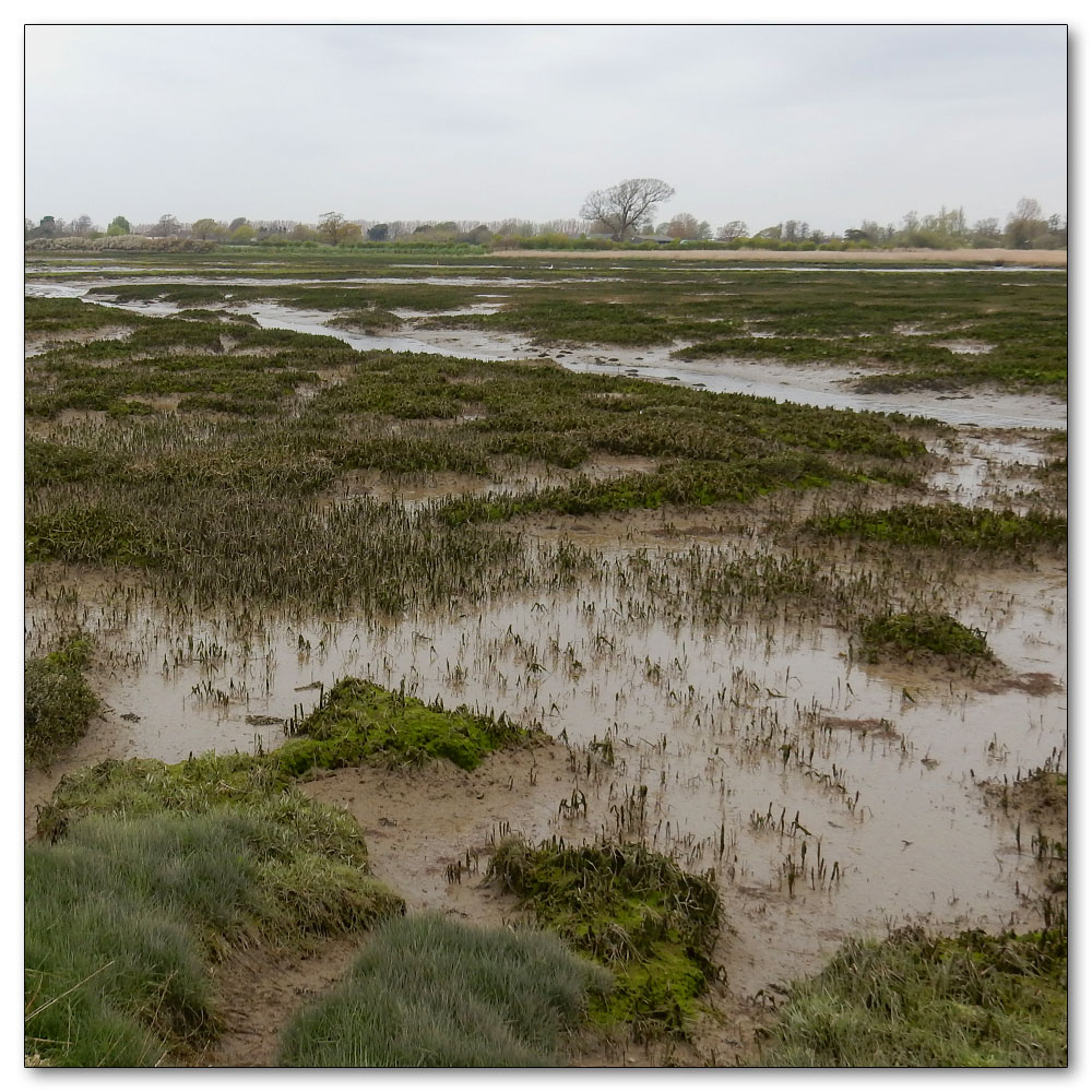 Coastal Change - Footpath 3059, 