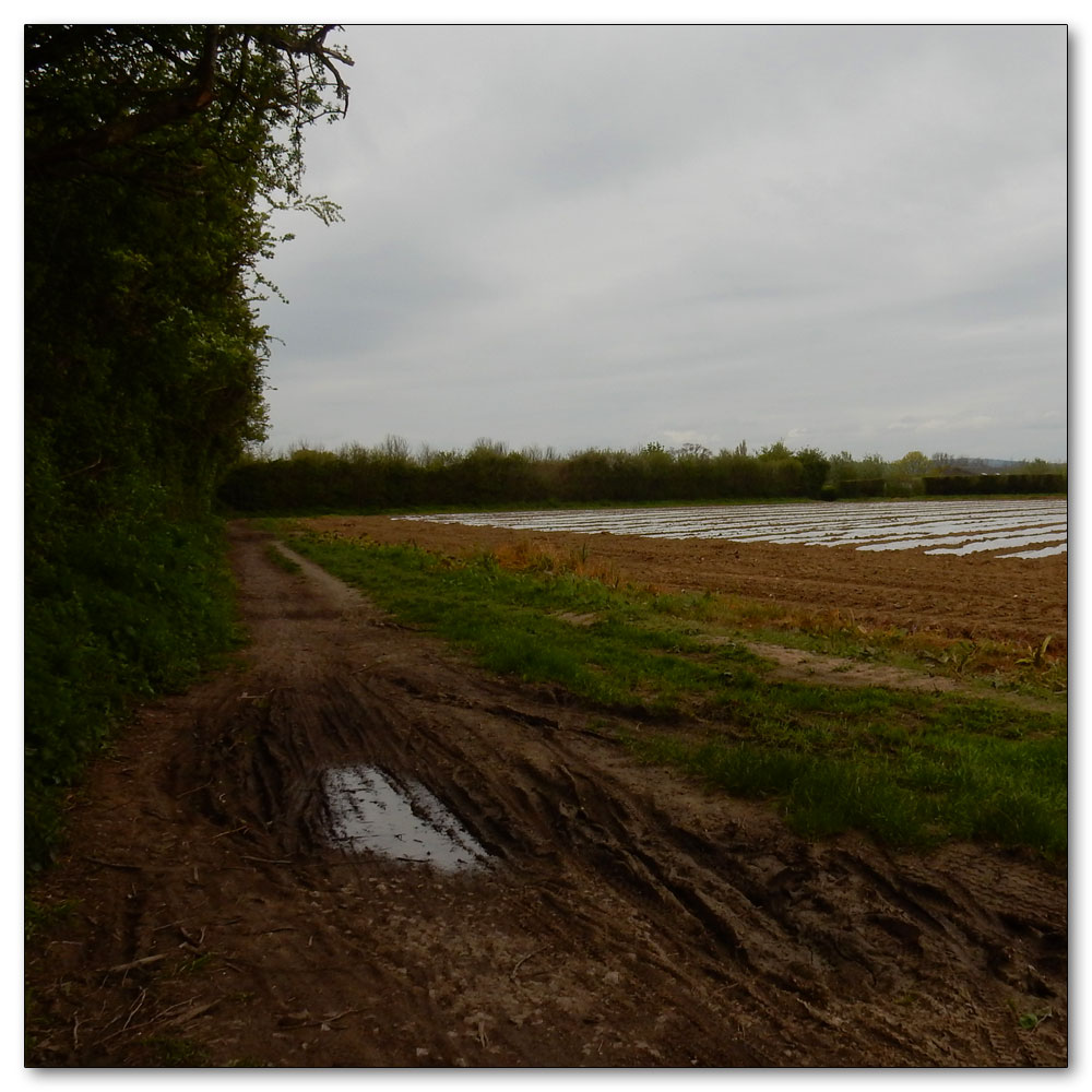 Coastal Change - Footpath 3059, 