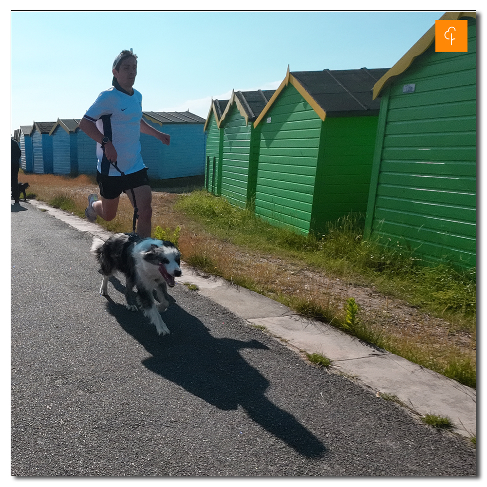 Littlehampton Parkrun, 199, 