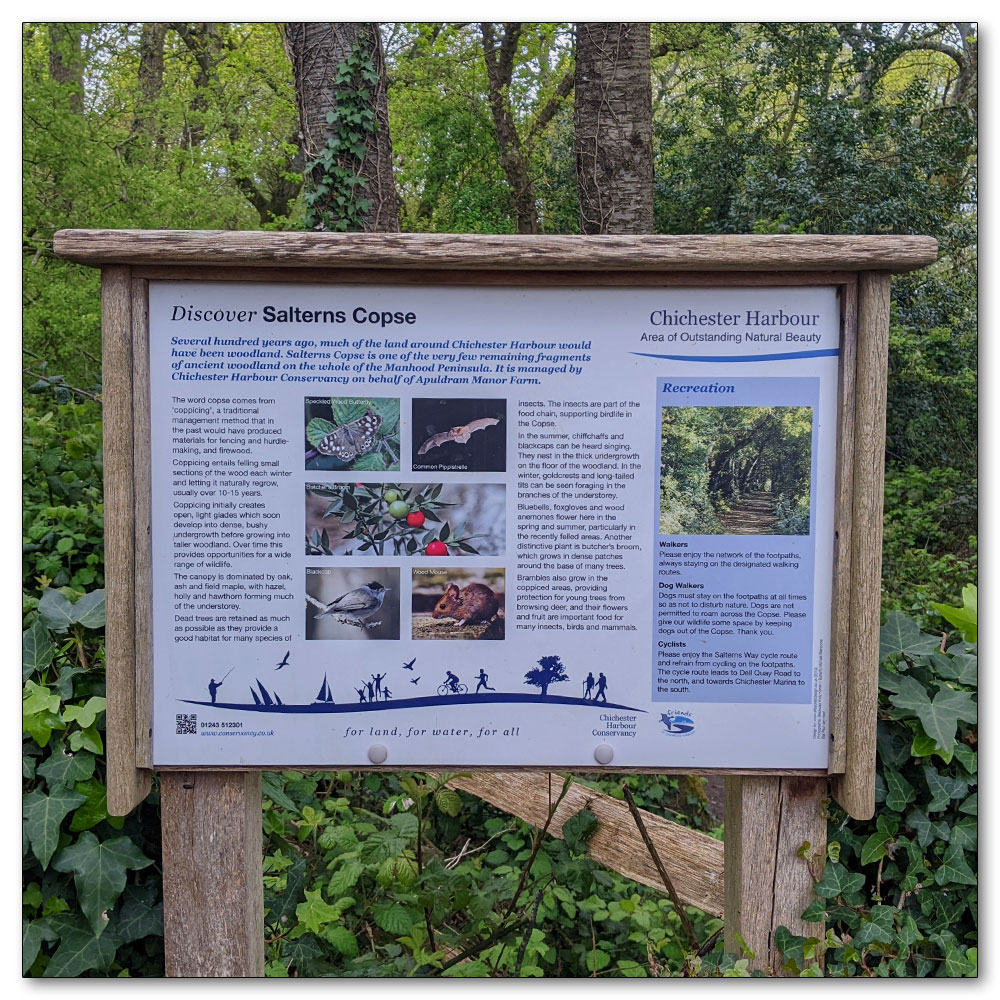 Around Apuldram Airfield, Salterns Copse information board