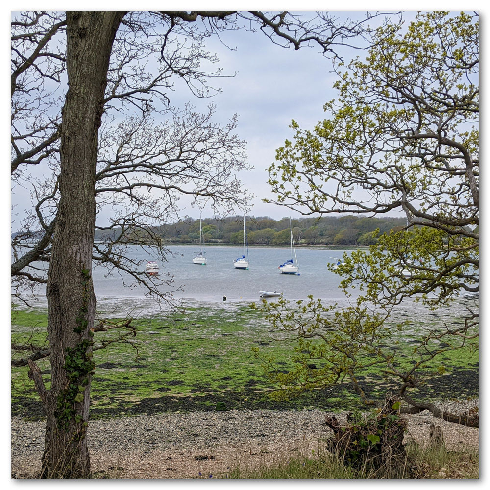 Around Apuldram Airfield, Dell Quay