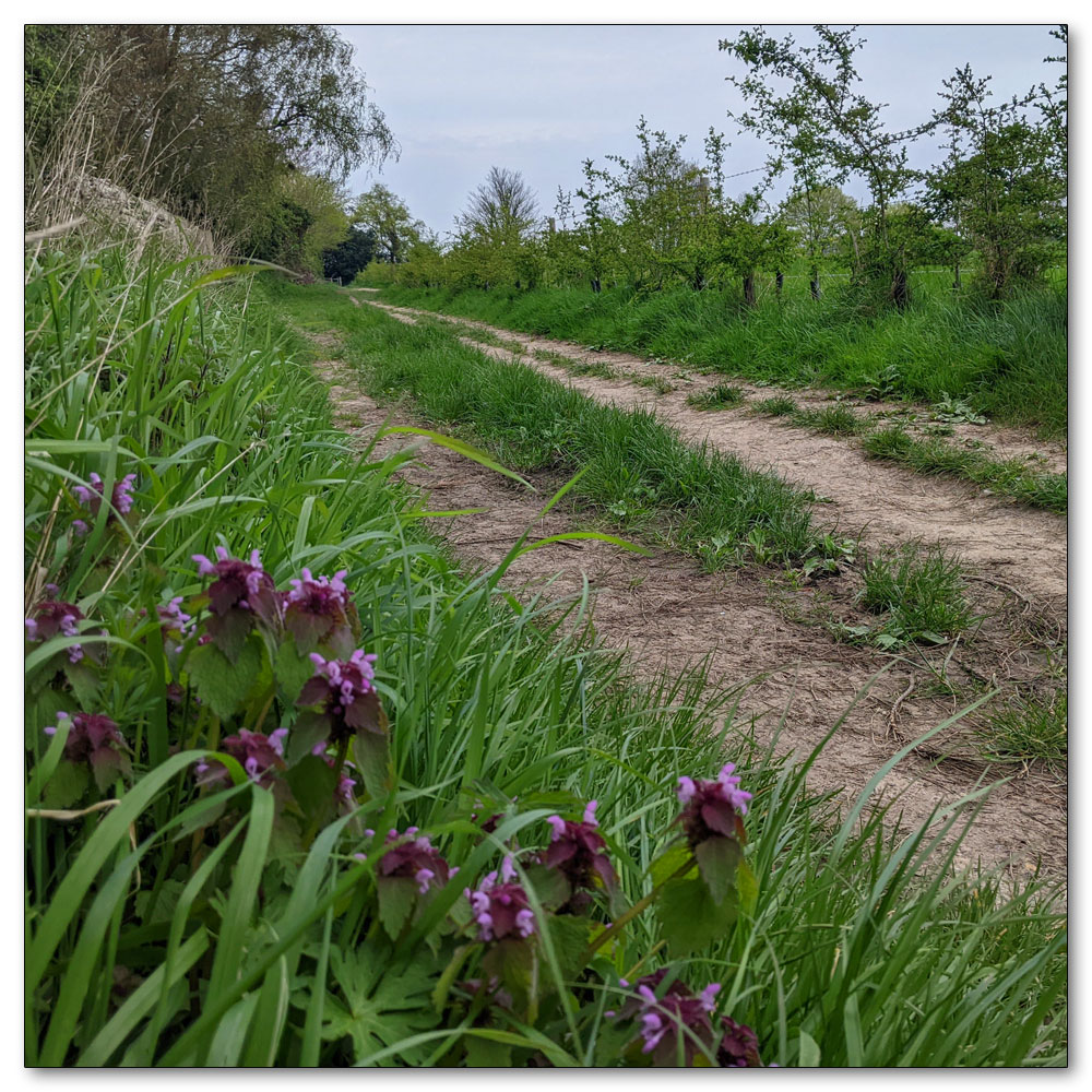 Around Apuldram Airfield, 