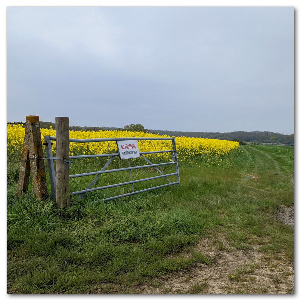 Around Apuldram Airfield, Conservation Area