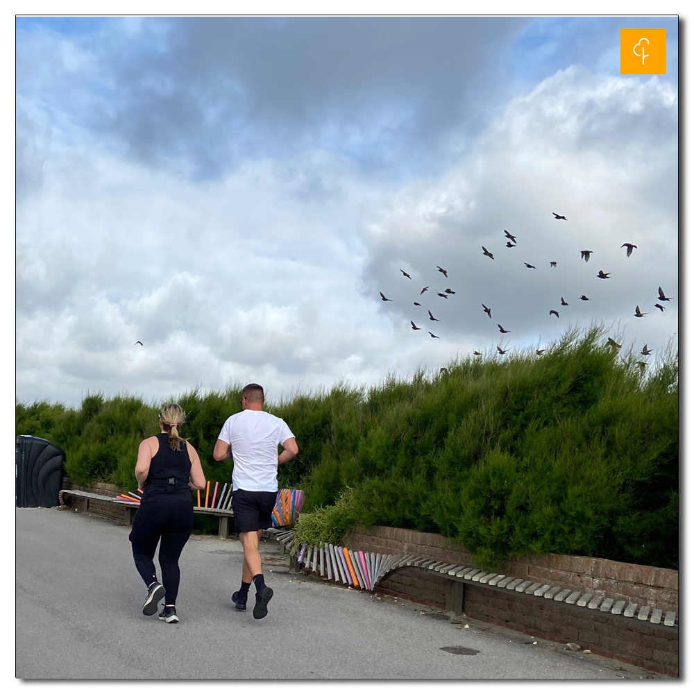 Littlehampton Parkrun, 203, 