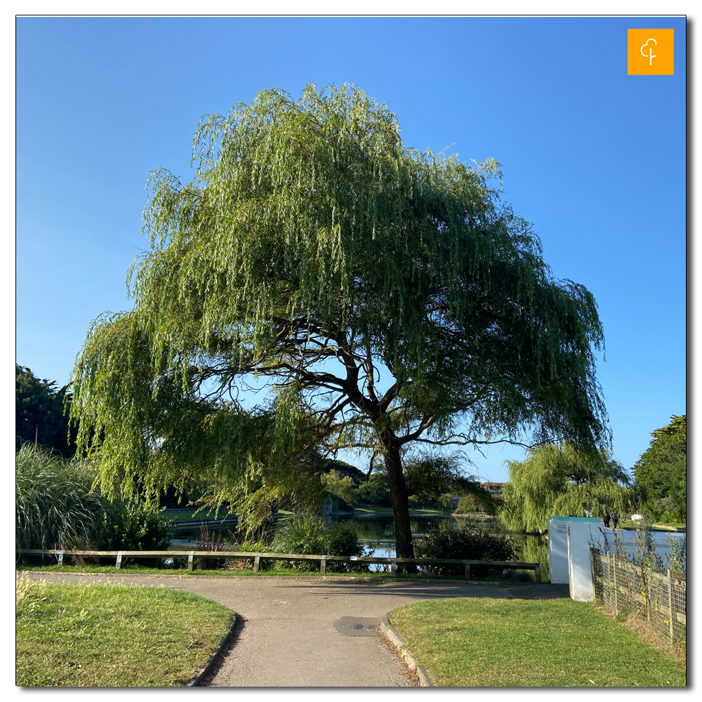 Littlehampton Parkrun, 204, 