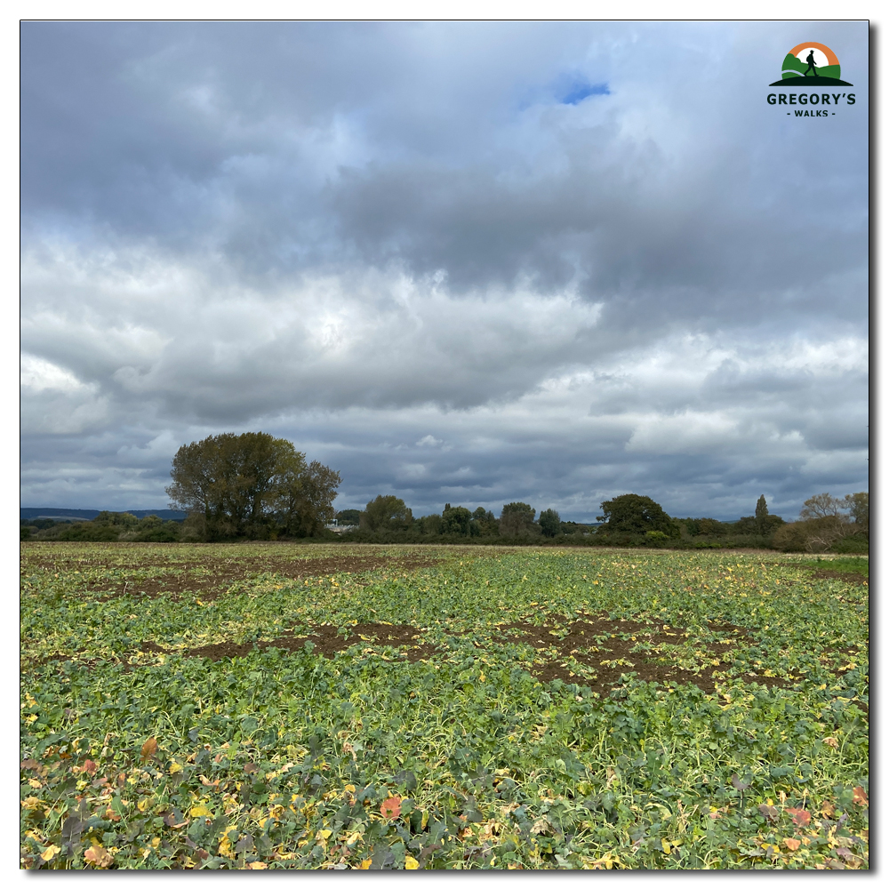 A Season for Wellies, 