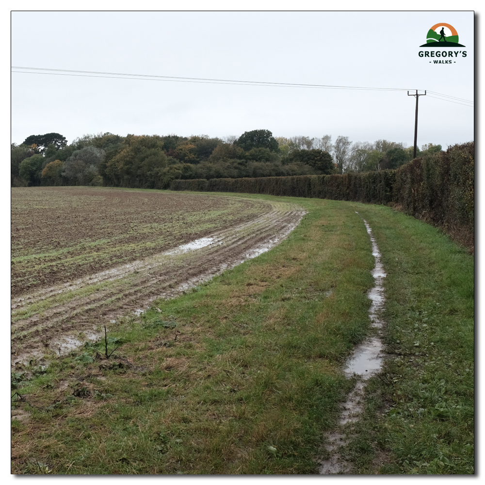 Walk to Fishbourne Channel, 