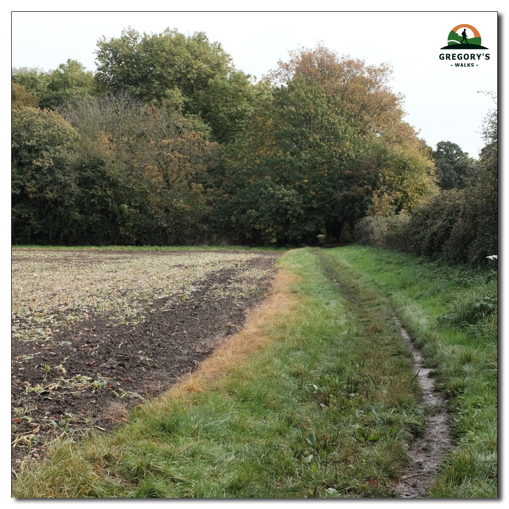 Walk to Fishbourne Channel, 