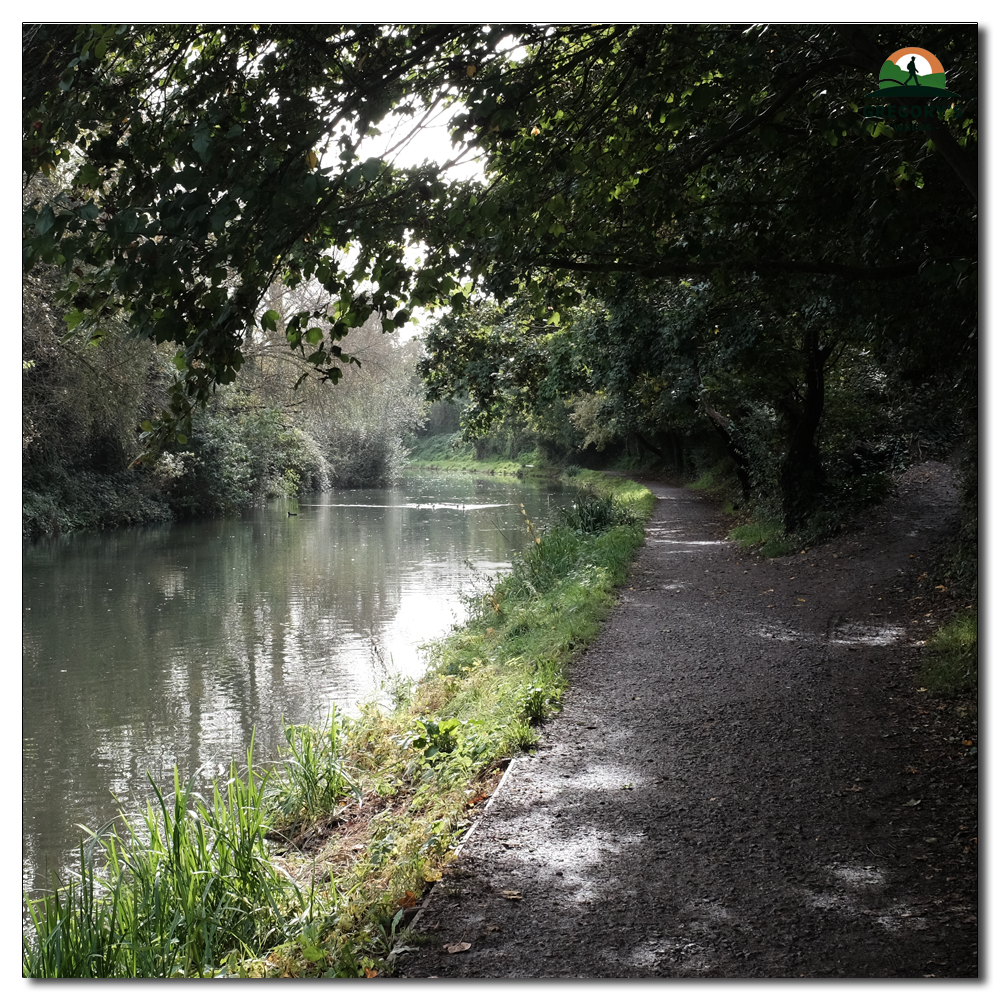 Chichester Canel, 