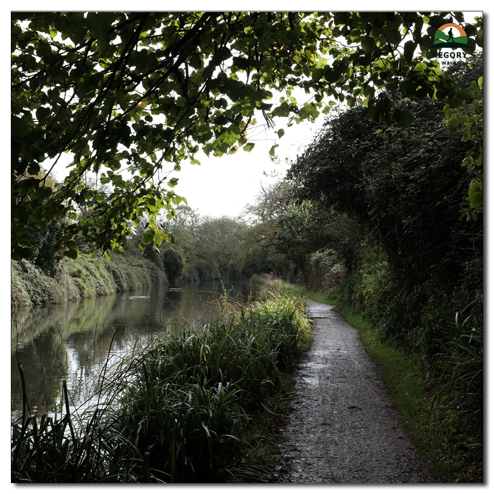 Chichester Canel, 