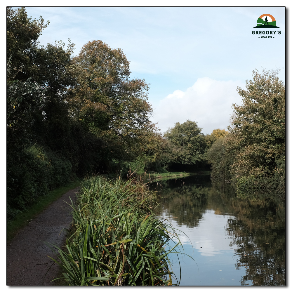 Chichester Canel, 