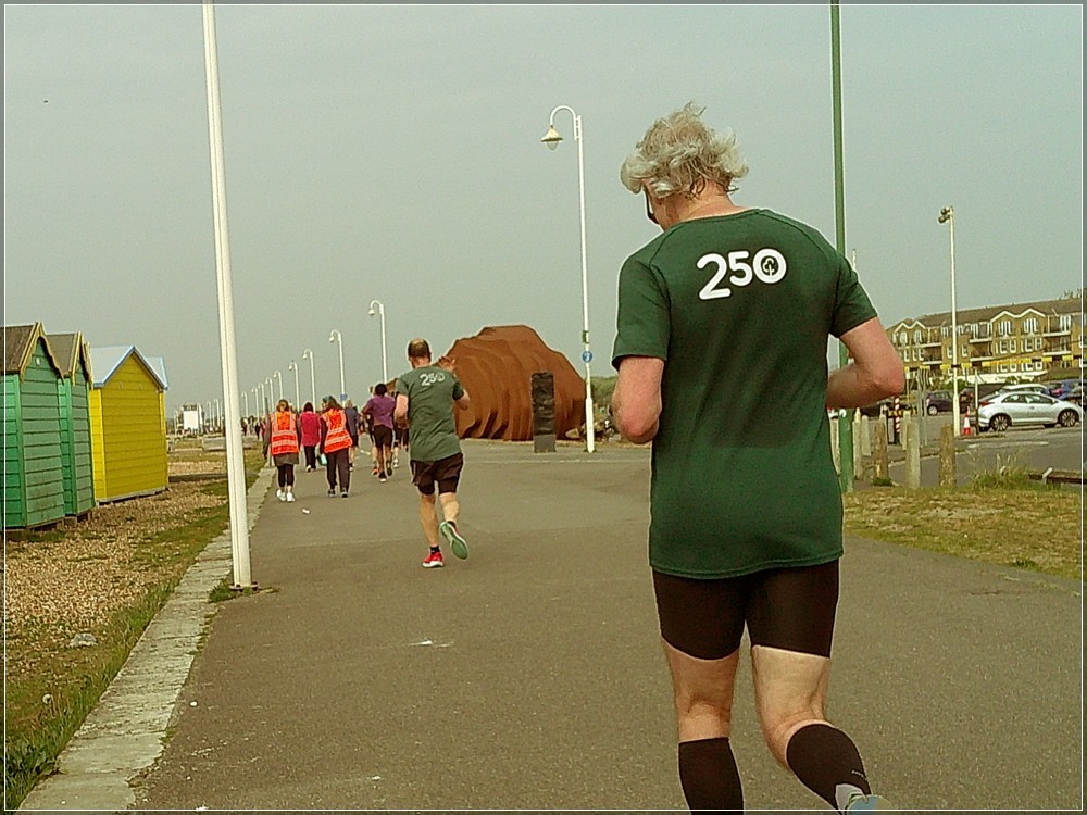 Littlehampton Parkrun, 238, 