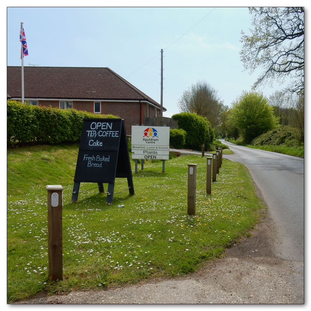 Dear spotting, Crossed road and back at Apludram Centre