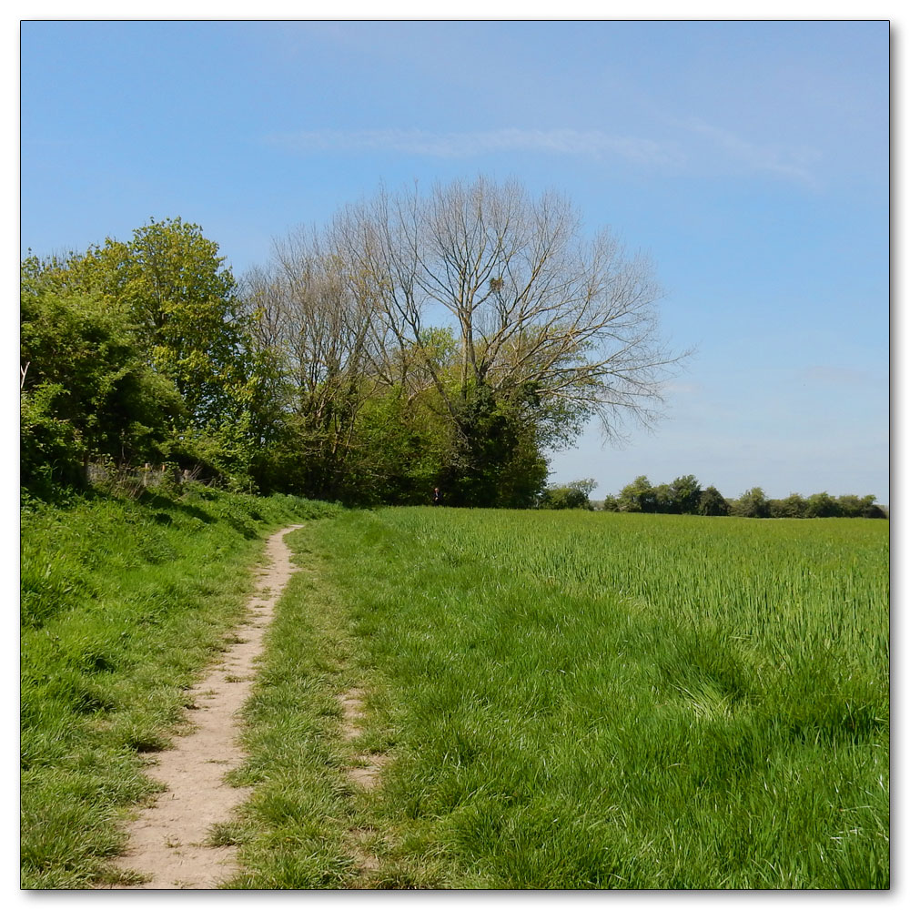 Walk 33 - Apuldram Church, 