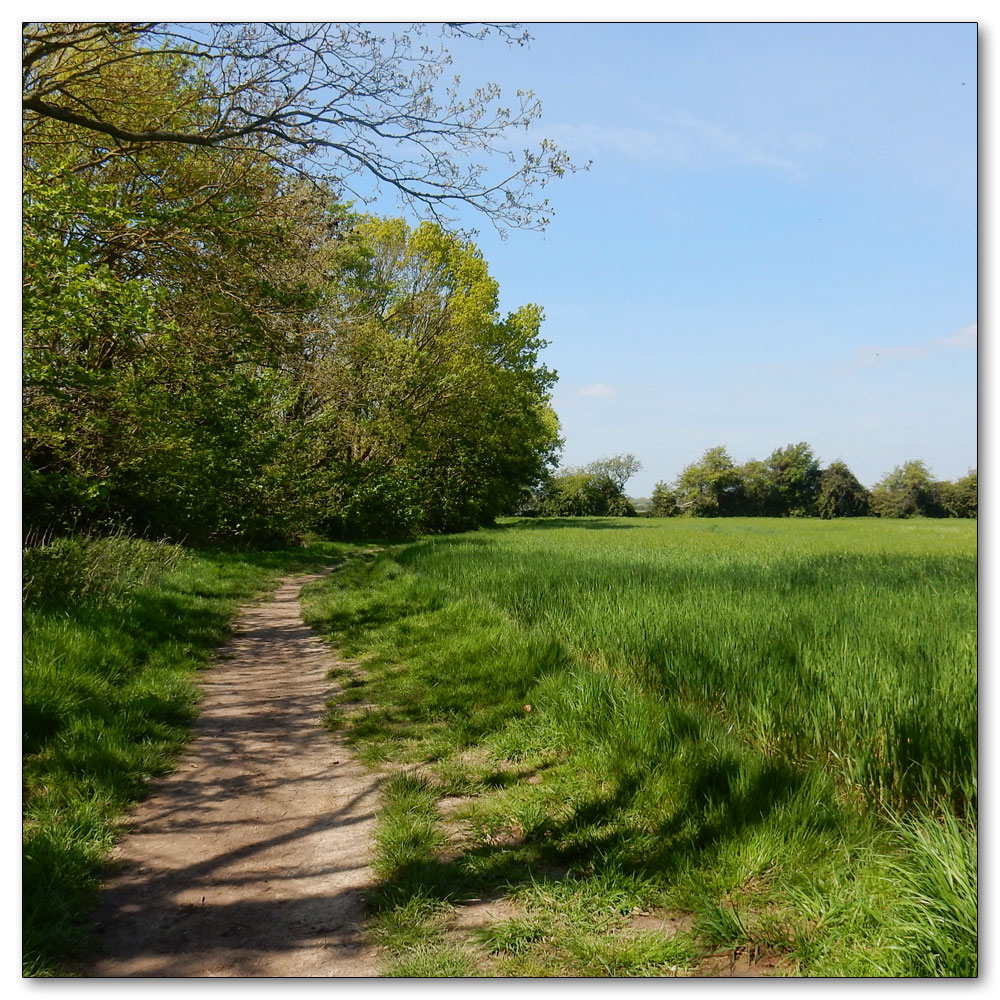 Walk 33 - Apuldram Church, 