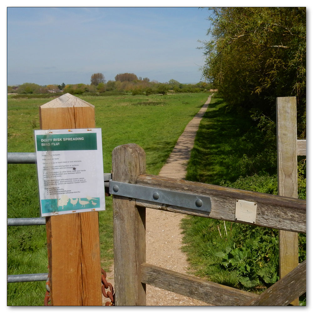 Walk 33 - Apuldram Church, 