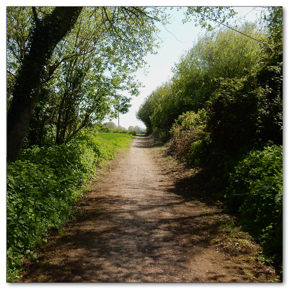 Walk 33 - Apuldram Church, 