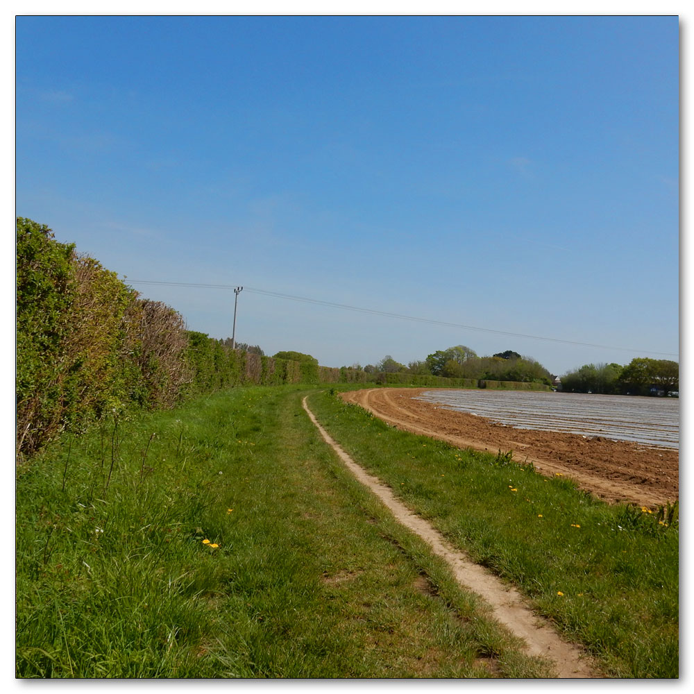 Walk 33 - Apuldram Church, 