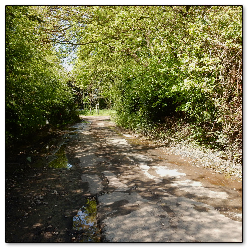 Walk 33 - Apuldram Church, 