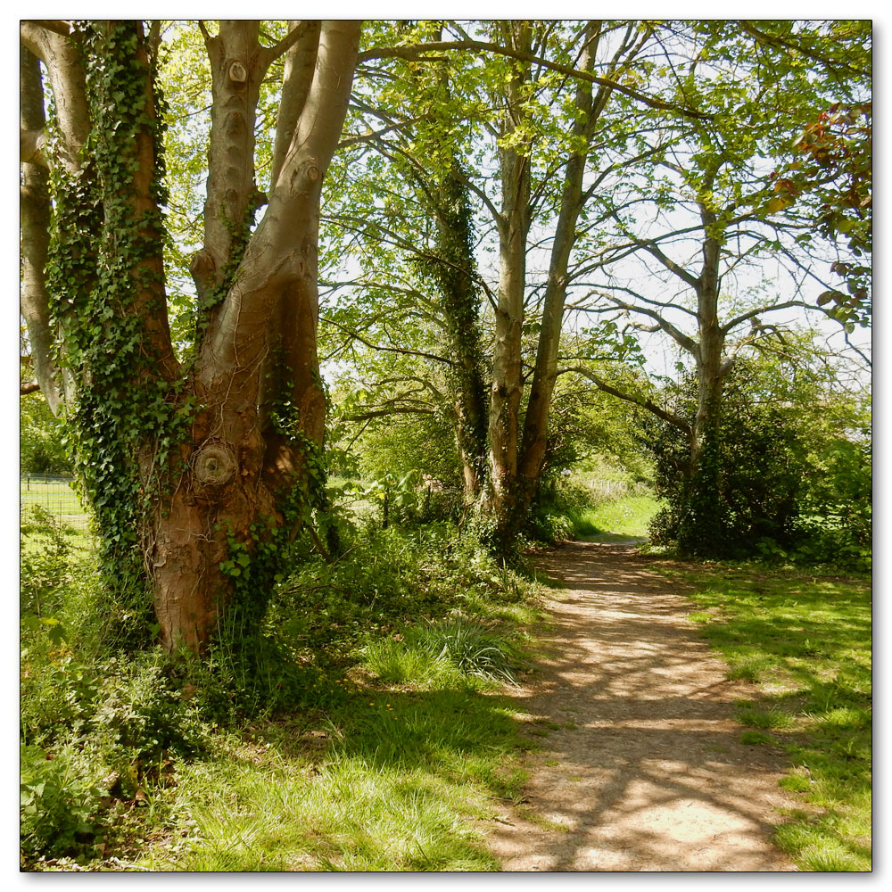 Walk 33 - Apuldram Church, 