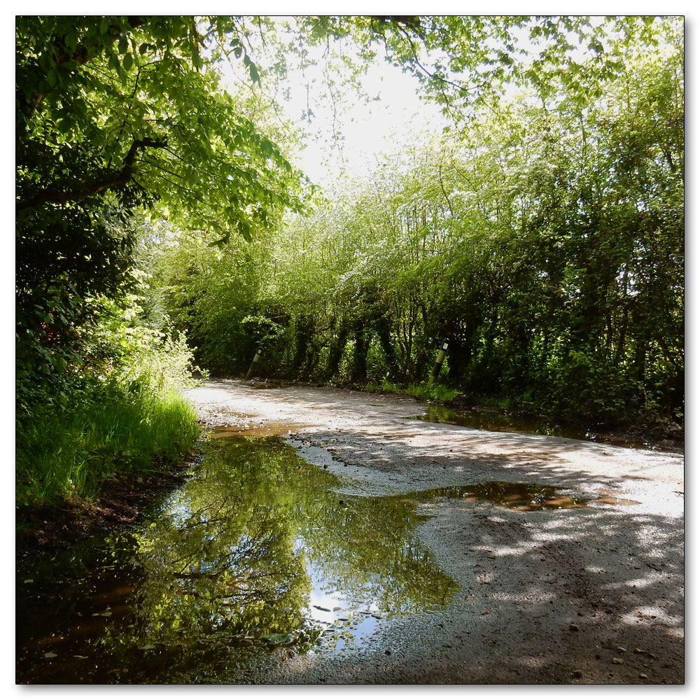 The day before the Kings Coronation, Church lane still wet