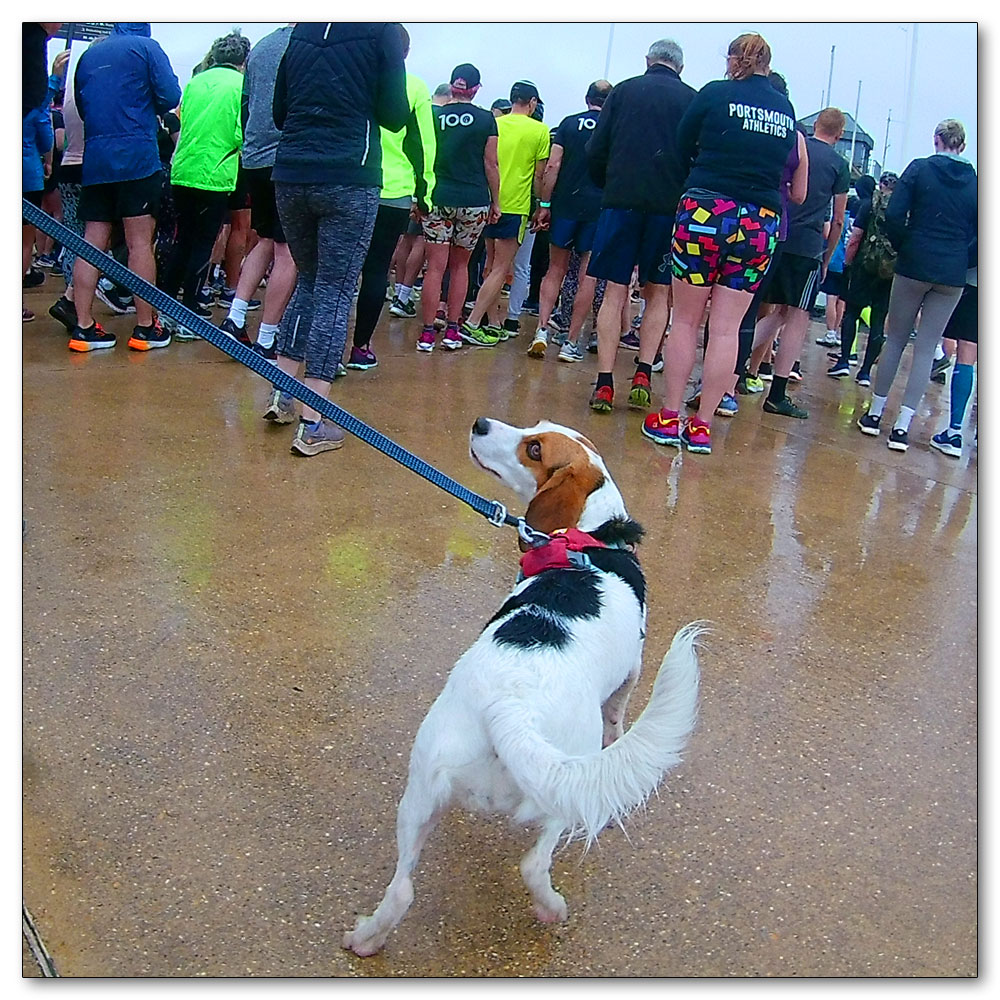 Littlehampton Parkrun<br>No 138, Keen to start