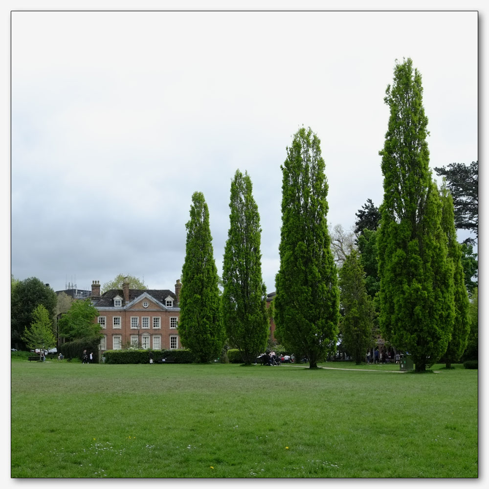 The King's Coronation, Horsham, 