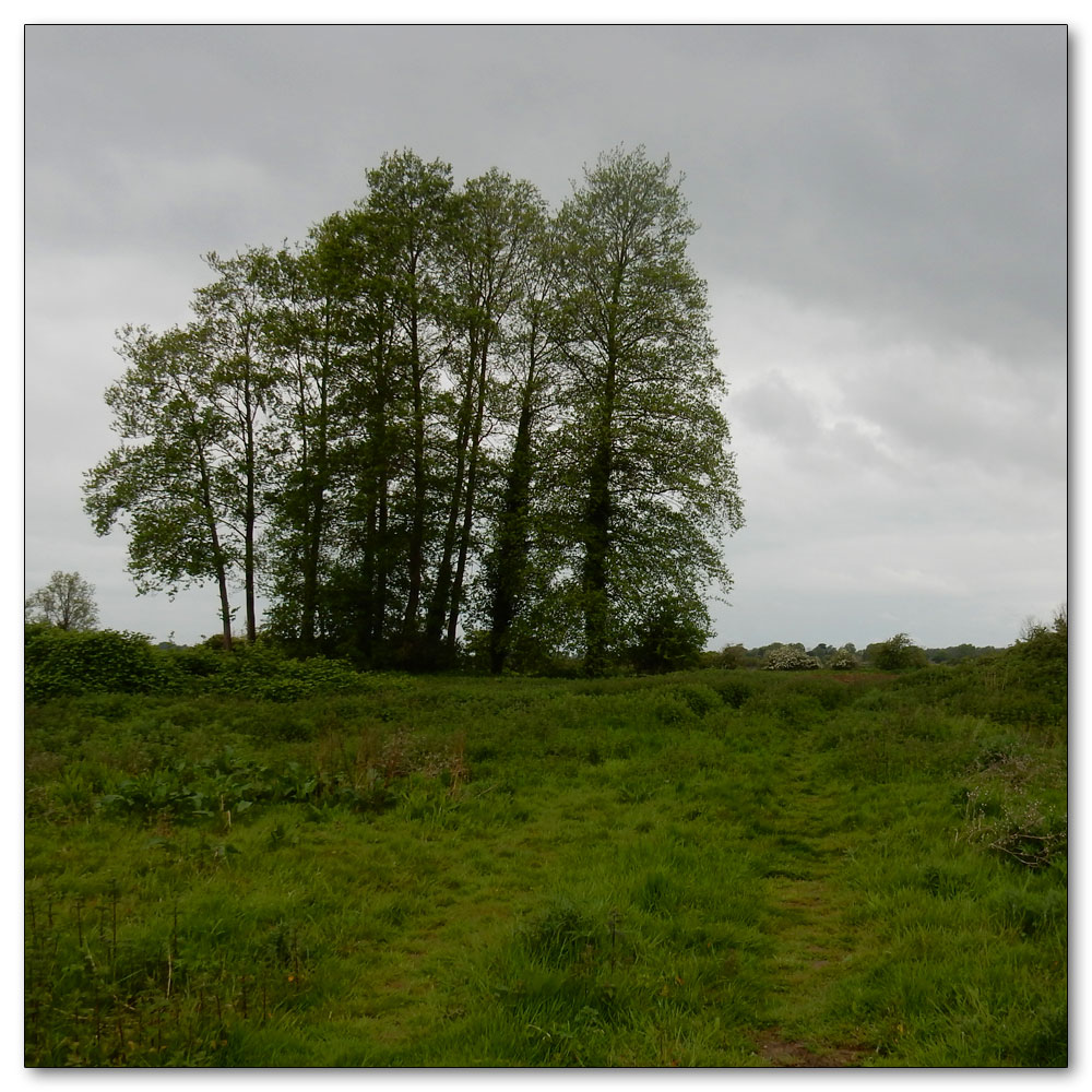 Apuldram Church, 