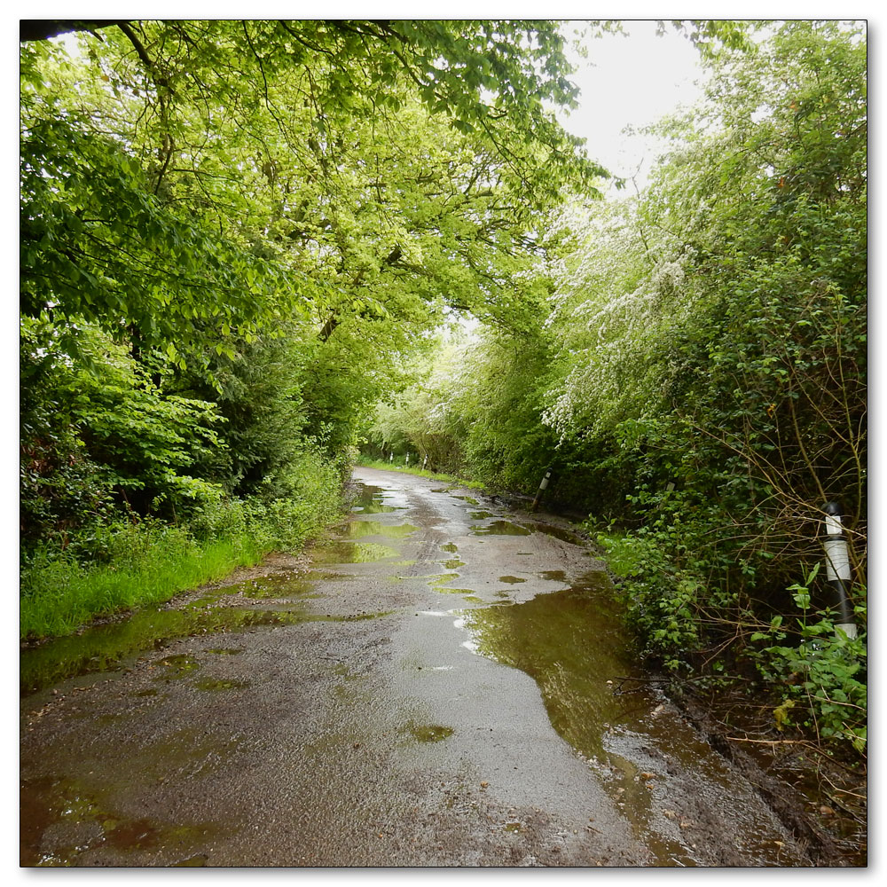 Apuldram Church, Will this lane ever dry out?